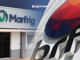 Fusão entre Marfrig e BRF cria oportunidades únicas para crescimento e expansão no setor alimentício. 16 Fusão entre Marfrig e BRF cria oportunidades únicas para crescimento e expansão no setor alimentício.