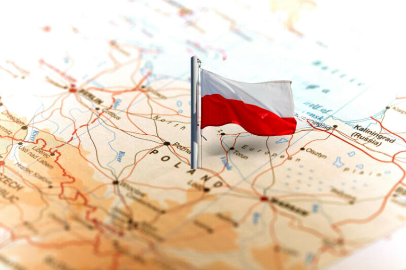 futuro incerto do setor avicola polones desafios e oportunidades no