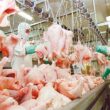 futuro promissor crescimento da producao de frango na china em