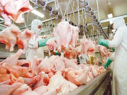 futuro promissor crescimento da producao de frango na china em