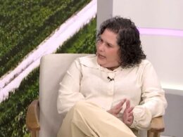 Gado dócil potencializa lucros e melhora a saúde financeira da sua fazenda com foco no bem-estar animal