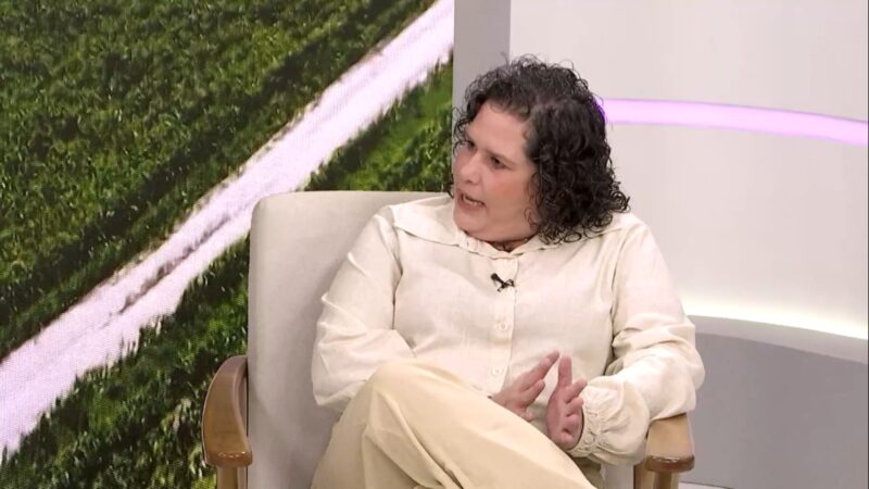 Gado dócil potencializa lucros e melhora a saúde financeira da sua fazenda com foco no bem-estar animal