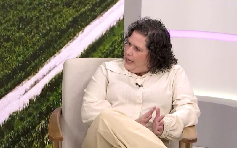 Gado dócil potencializa lucros e melhora a saúde financeira da sua fazenda com foco no bem-estar animal
