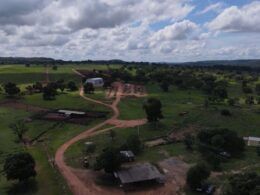 Sucessão familiar no campo: especialista revela como proteger a família e o patrimônio