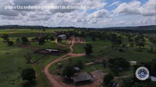 Sucessão familiar no campo: especialista revela como proteger a família e o patrimônio