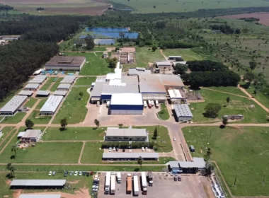 Friboi oferece 50 vagas em Nova Andradina (MS)