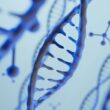 genetica avicola em alta recorde de 2139 toneladas em janeiro