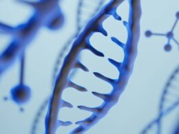 Genética Avícola em Alta: Recorde de 2.139 Toneladas em Janeiro Promete Impactar Setor e Impulsionar Tecnologia na Agricultura Brasileira 22 genetica avicola em alta recorde de 2139 toneladas em janeiro