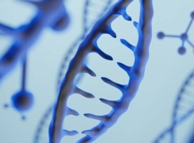 genetica avicola em alta recorde de 2139 toneladas em janeiro