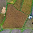 Georreferenciamento otimiza a gestão de imóveis rurais até 25 hectares e facilita o acesso a benefícios financeiros.