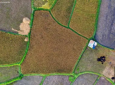 Georreferenciamento otimiza a gestão de imóveis rurais até 25 hectares e facilita o acesso a benefícios financeiros.