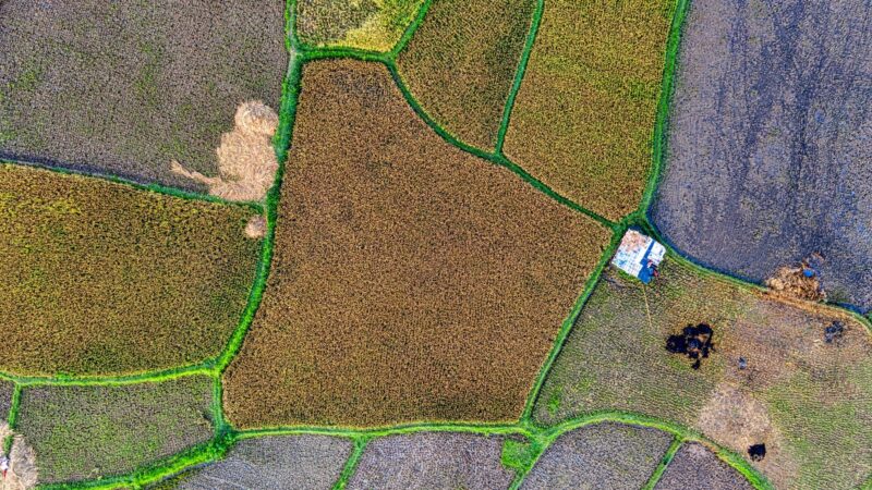 Georreferenciamento otimiza a gestão de imóveis rurais até 25 hectares e facilita o acesso a benefícios financeiros.