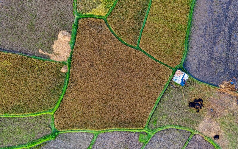 Georreferenciamento otimiza a gestão de imóveis rurais até 25 hectares e facilita o acesso a benefícios financeiros.