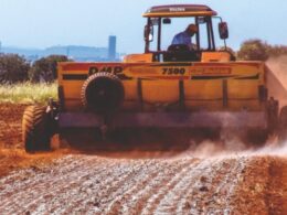 Gesso agrícola potencializa enraizamento de milho e sorgo, aumentando produção de silagem de forma eficaz 10 Gesso agrícola potencializa enraizamento de milho e sorgo, aumentando produção de silagem de forma eficaz