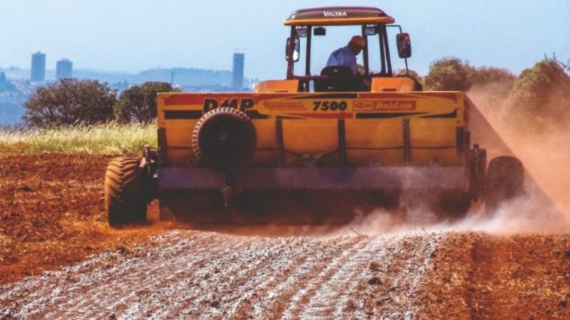 Gesso agrícola potencializa enraizamento de milho e sorgo, aumentando produção de silagem de forma eficaz