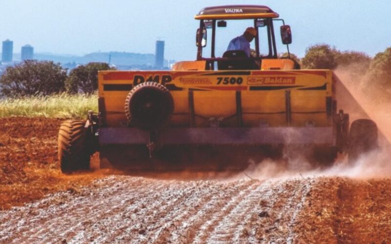 Gesso agrícola potencializa enraizamento de milho e sorgo, aumentando produção de silagem de forma eficaz