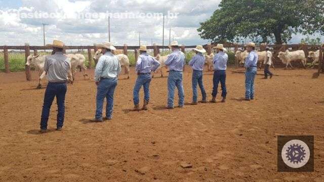 Treinamento de equipes da fazenda. Foto: Divulgação