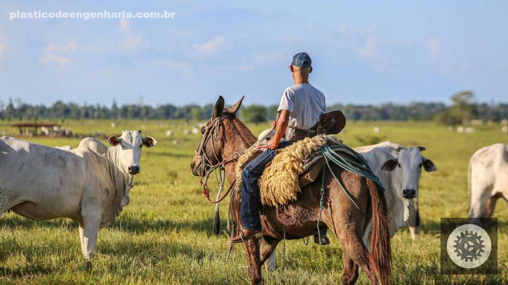 Ganhe mais na pecuária com contas eficazes para otimizar seus lucros e aumentar sua rentabilidade. 5 gestao pecuarista fazenda bovinos 28.04.2025
