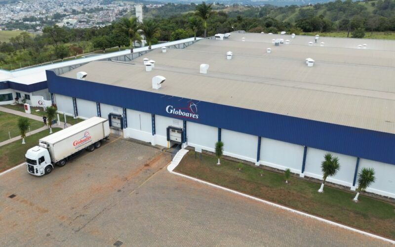 globoaves revoluciona a avicultura com nova ampliacao de incubatorio em