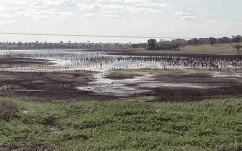 Governo define detalhes de socorro ao RS com crédito facilitado e fôlego no caixa dos produtores