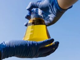 Governo federal amplia mistura de biodiesel e etanol para reduzir poluição e estimular energia limpa no Brasil 13 governo federal amplia mistura de biodiesel e etanol para reduzir