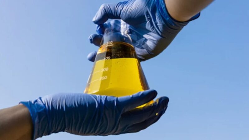 governo federal amplia mistura de biodiesel e etanol para reduzir