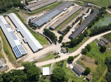 grande salto sustentavel aposta da seara na energia solar transforma