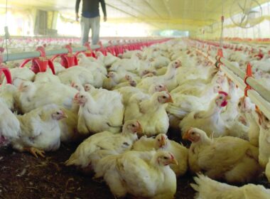 guerra comercial e seus impactos como proteger seu negocio no
