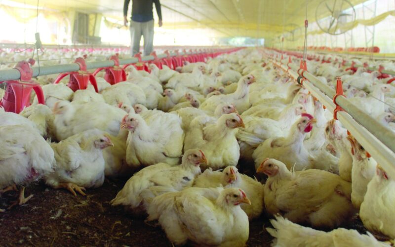 guerra comercial e seus impactos como proteger seu negocio no