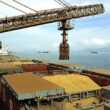 guerra tarifaria impulsiona exportacoes de soja e abiove projeta crescimento