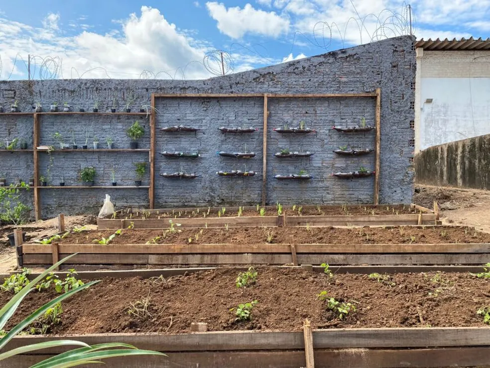 horta em reciclado circularidade e sustentabilidade em embalagens.webp