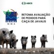 ibama volta a avaliar solicitacoes para cacar javalis