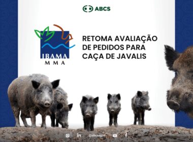 ibama volta a avaliar solicitacoes para cacar javalis