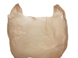 impacto surpreendente proibicao de sacolas plasticas aumenta uso de plastico.jpgmaxwidth1200