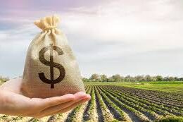 Impactos da Suspensão de Crédito no Plano Safra 2024/2025: Estratégias para Agricultores Enfrentarem Desafios Econômicos em um Cenário Instável 16 impactos da suspensao de credito no plano safra 20242025 estrategias