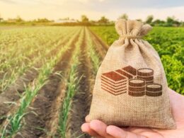 Impactos do Acordo Mercosul-UE na Economia: O Futuro das Relações com a China 20 impactos do acordo mercosul ue na economia o futuro das relacoes