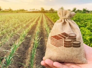 impactos do acordo mercosul ue na economia o futuro das relacoes
