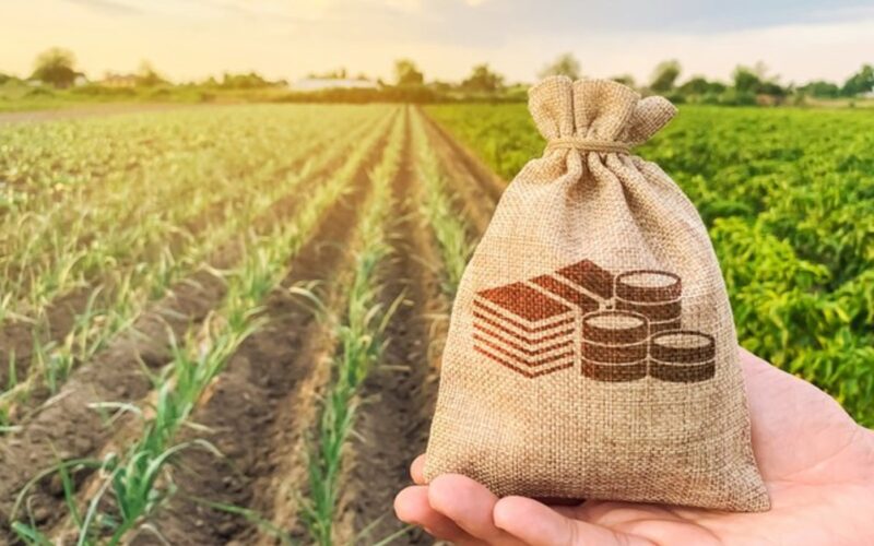 impactos do acordo mercosul ue na economia o futuro das relacoes