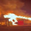 Incêndio em aviário em Cascavel causa grande perda e destaca a vulnerabilidade da avicultura brasileira.
