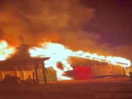 Incêndio em aviário em Cascavel causa grande perda e destaca a vulnerabilidade da avicultura brasileira. 35 Incêndio em aviário em Cascavel causa grande perda e destaca a vulnerabilidade da avicultura brasileira.