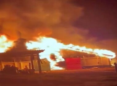 Incêndio em aviário em Cascavel causa grande perda e destaca a vulnerabilidade da avicultura brasileira.