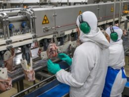 Incrível: Desempenho Agroindustrial Atinge Alta Recorde em 14 Anos! Descubra os Fatores por Trás 22 incrivel desempenho agroindustrial atinge alta recorde em 14 anos descubra