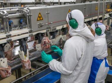 incrivel desempenho agroindustrial atinge alta recorde em 14 anos descubra
