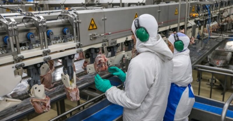 incrivel desempenho agroindustrial atinge alta recorde em 14 anos descubra