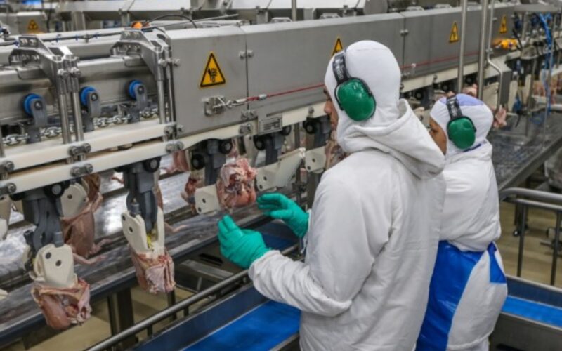 incrivel desempenho agroindustrial atinge alta recorde em 14 anos descubra