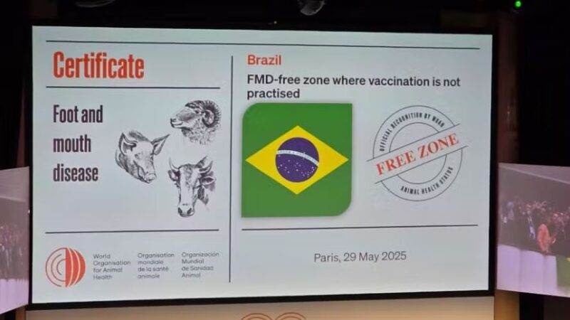 industria da carne sem aftosa amplia mercados globais impulsionando exportacoes