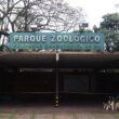 influenza aviaria analise genetica revela conexao entre zoologicos e granjas