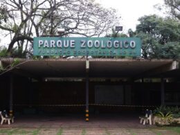 Influenza Aviária: Análise genética revela conexão entre zoológicos e granjas no RS, alertando para riscos e cuidados essenciais 26 influenza aviaria analise genetica revela conexao entre zoologicos e granjas