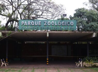 influenza aviaria analise genetica revela conexao entre zoologicos e granjas