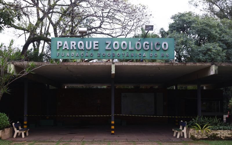 influenza aviaria analise genetica revela conexao entre zoologicos e granjas